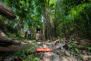 BIB: 
                            <button type="button" onclick="openModal(19388615)" class="btn btn-primary btn-sm float-right btn-popup" data-toggle="modal" data-target=".modal-high-quality">
                        <i class="fas fa-shopping-cart"></i> Add to Cart
                    </button>
                                            <button type="button" onclick="isThisMe(19388615, true)" class="btn btn-success btn-sm float-right btn-popup btn-isme hidden" data-toggle="tooltip" data-placement="bottom" title="นี่คือรูปของคุณใช่ไหม คลิกที่นี่เพื่อเอาเข้าอัลบั้ม">
                        <i class="fas fa-plus"></i> Add to album
                    </button>
                    <button type="button" onclick="isThisMe(19388615, false)" class="btn btn-warning btn-sm float-right btn-popup btn-isnotme hidden">
                        <i class="fas fa-ban"></i> Remove from album
                    </button>